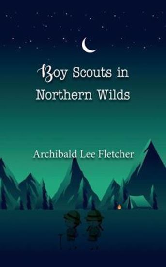 Picture of The Boy Scouts in Northern Wilds